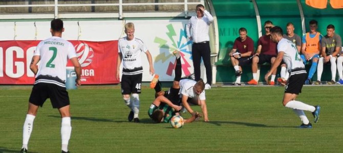 Stal Stalowa Wola – Górnik Łęczna 1-3